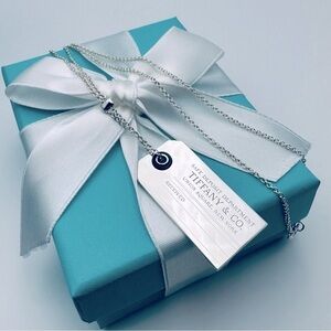 RARE Tiffany & Co. Safe Deposit Box Onyx Necklace in Silver with Packaging